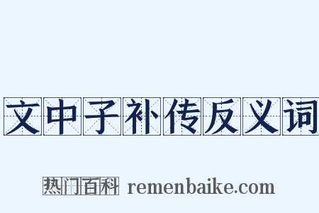 文中子补传反义词是什么意思的图片